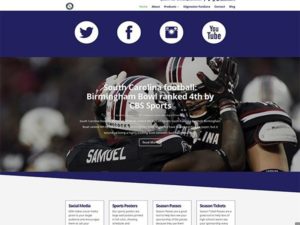 Fully responsive website design by Digital Skratch